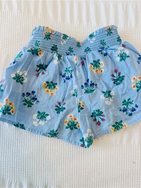 Janie and Jack Sky Blue Floral Smocked Dress